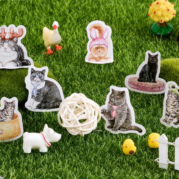46PCS Mr. Cat Boxed Stickers