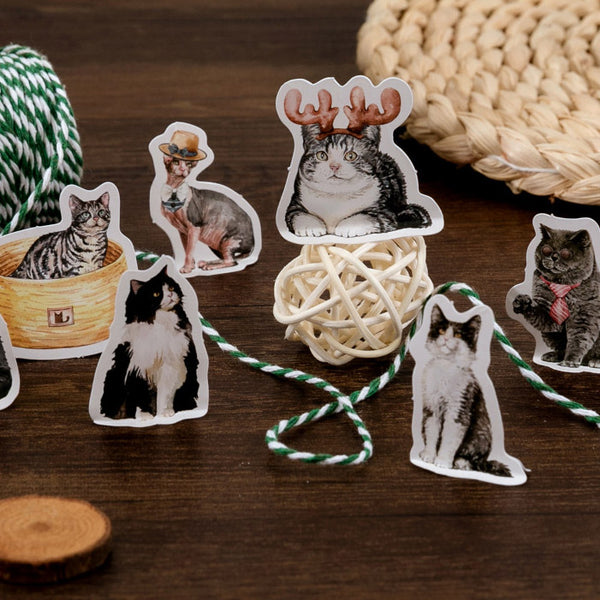 46PCS Mr. Cat Boxed Stickers
