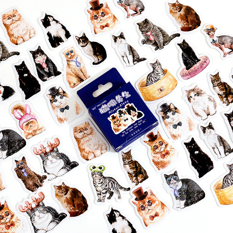 46PCS Mr. Cat Boxed Stickers