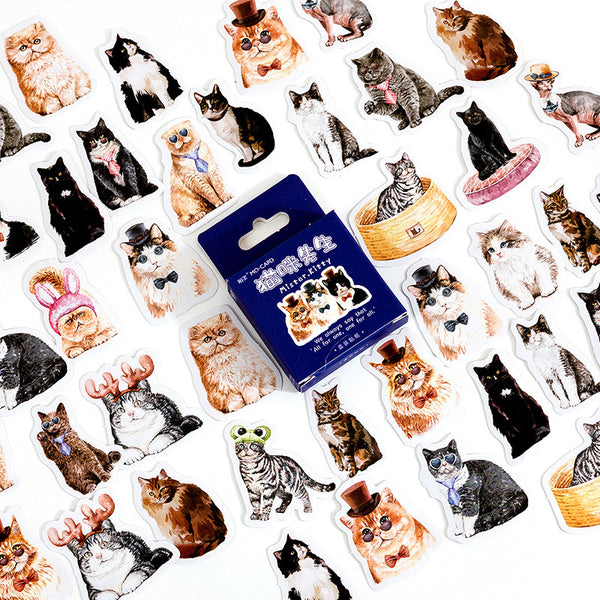 46PCS Mr. Cat Boxed Stickers