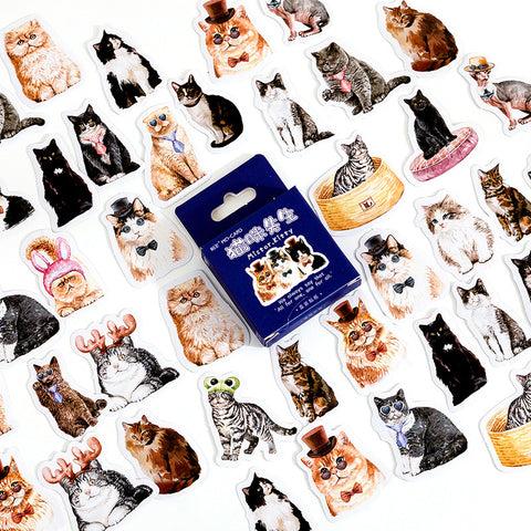 46PCS Mr. Cat Boxed Stickers