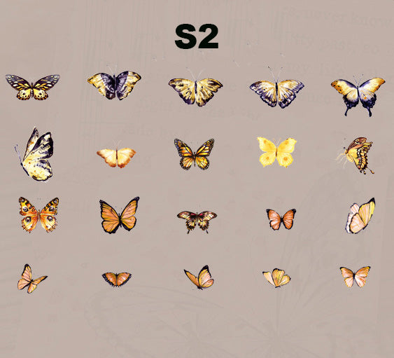 Butterfly Specimen Series Sticker