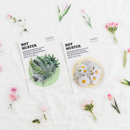 40PCS Hot Plants Pet Stickers