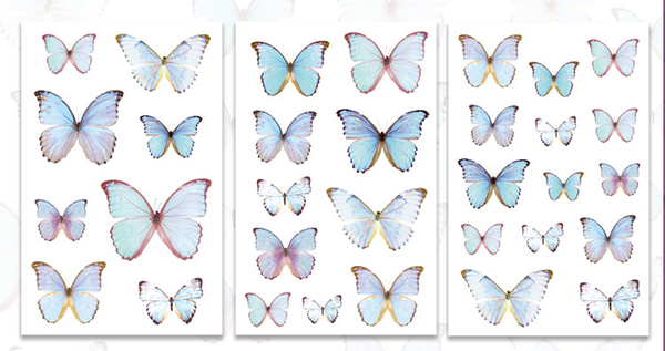 3Pcs Flutter Series PVC Stickers