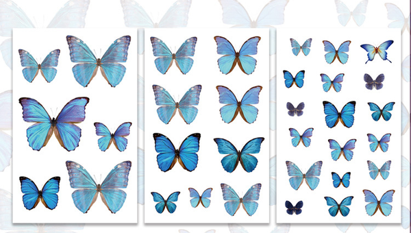 3Pcs Flutter Series PVC Stickers