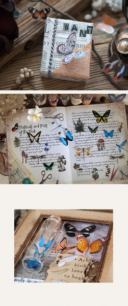 Butterfly Specimen Series Sticker