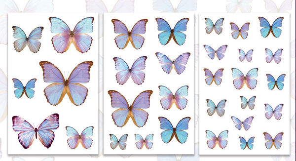 3Pcs Flutter Series PVC Stickers