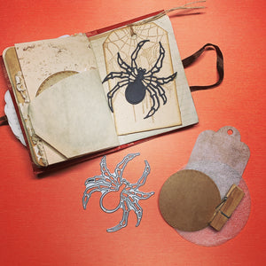 Spider Dies